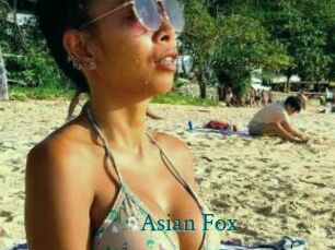 Asian_Fox