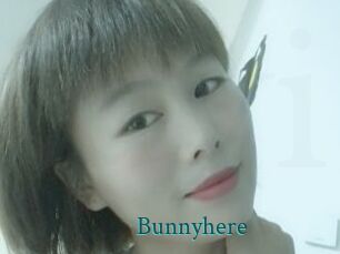 Bunnyhere