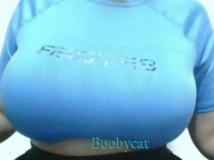 Boobycat