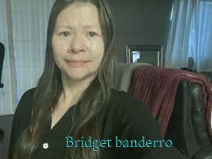 Bridget_banderro