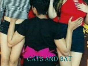 CATS_AND_BAT