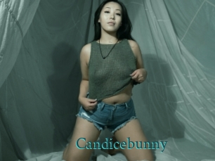 Candicebunny