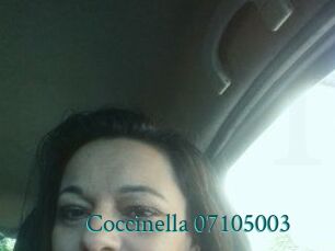 Coccinella-07105003