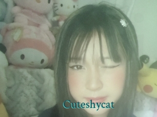 Cuteshycat