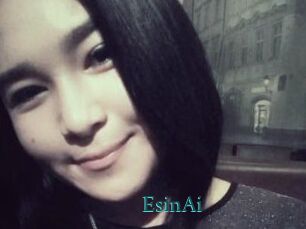 EsinAi