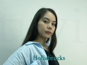 Hollisbrucks