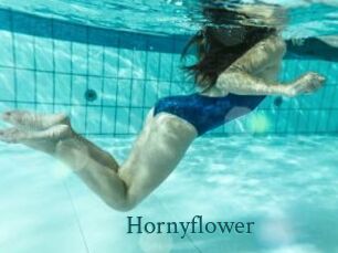 Hornyflower