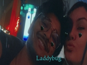 Laddybug