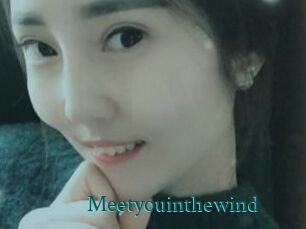 Meetyouinthewind