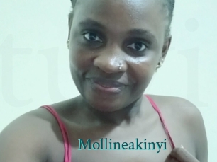 Mollineakinyi