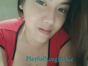 PlayfulNaughtyKc