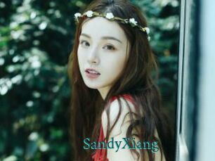 SandyXiang