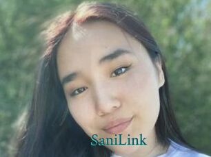 SaniLink