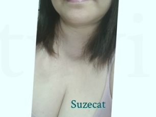 Suzecat