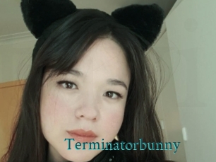 Terminatorbunny