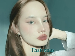 Thaivenus