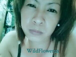 WildFlowerxx